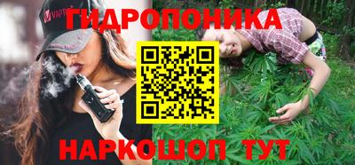 сатива Кимры
