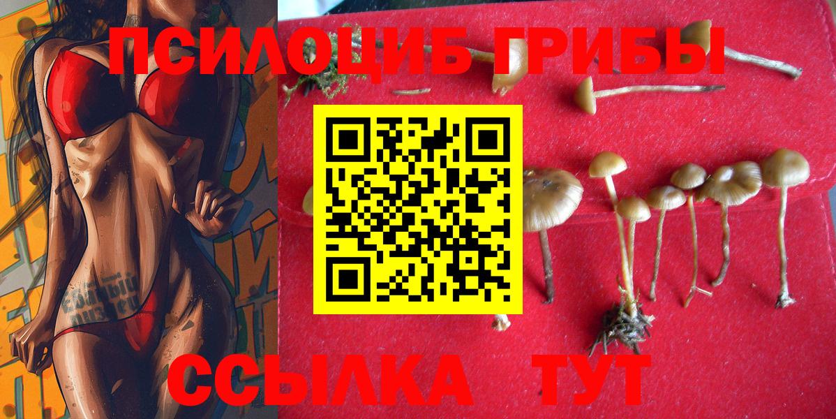 Жигулёвск  Псилоцибиновые грибы прущие грибы  Псилоцибиновые грибы MAGIC MUSHROOMS  Вход с VPN 